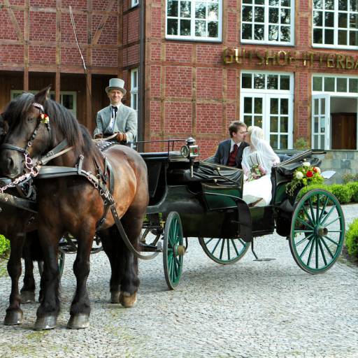 Pferdekutsche mit Brautpaar vor dem Gutshof Itterbach in Willingen