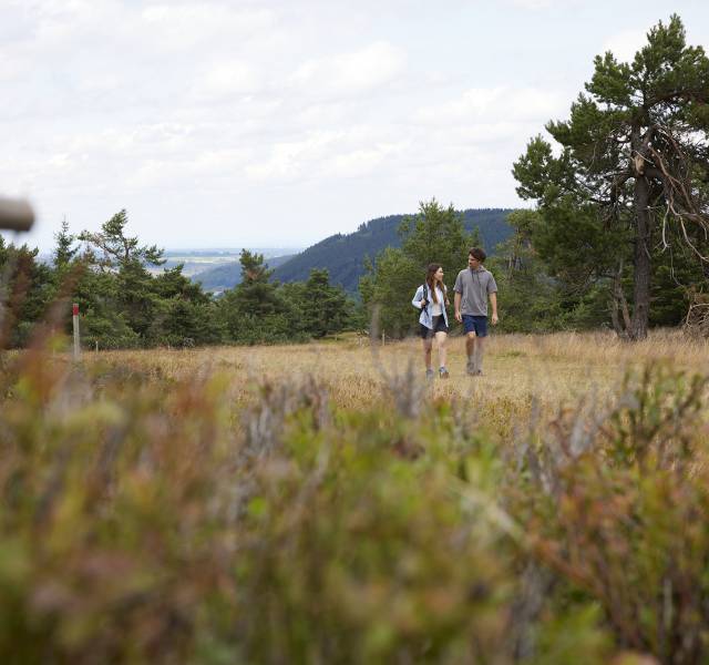 ErholungPur im Upland