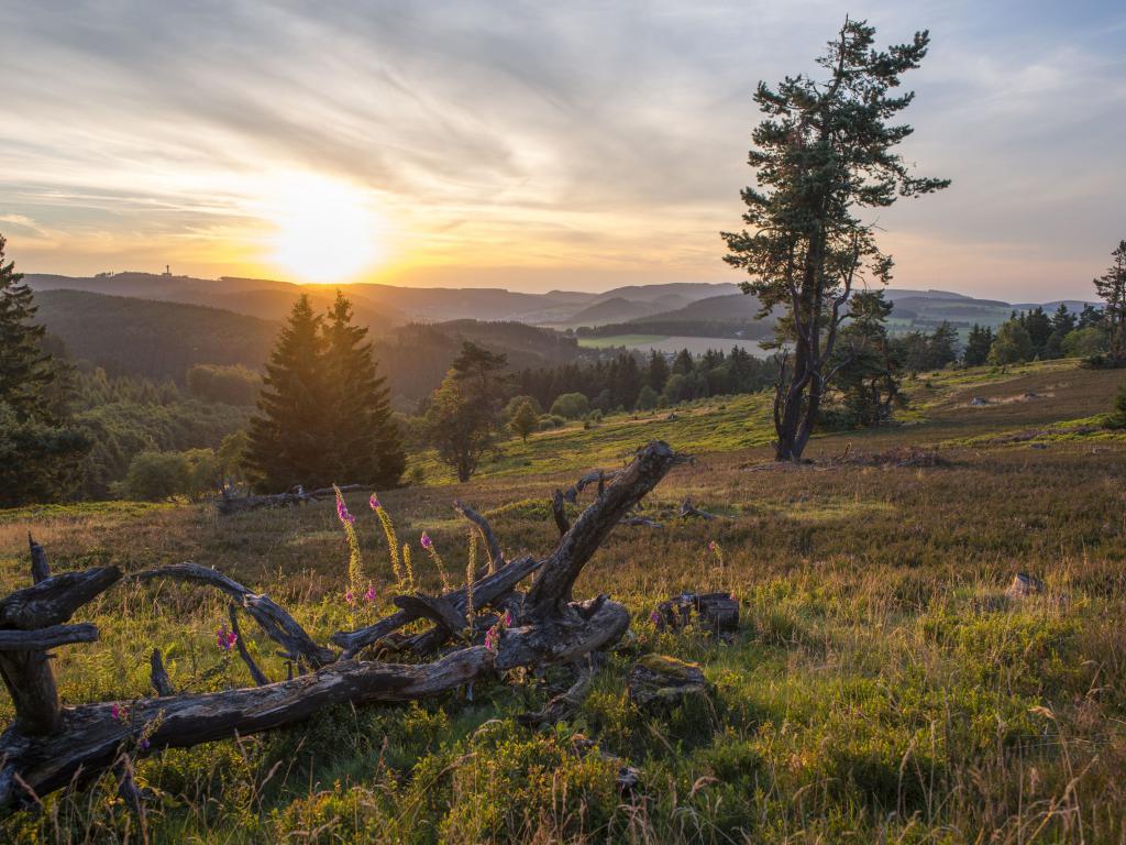 Summer offers - active holidays with the stars in the Sauerland